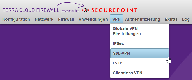Datei:SSL VPN.png