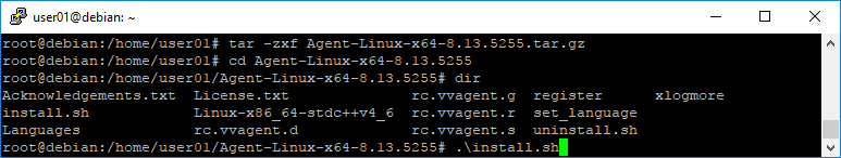 LinuxVM Console