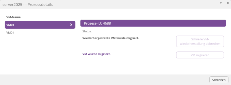 Datei:Backup-DE-Hyper-V Agent-VM wiederherstellen-Rapid (18).png
