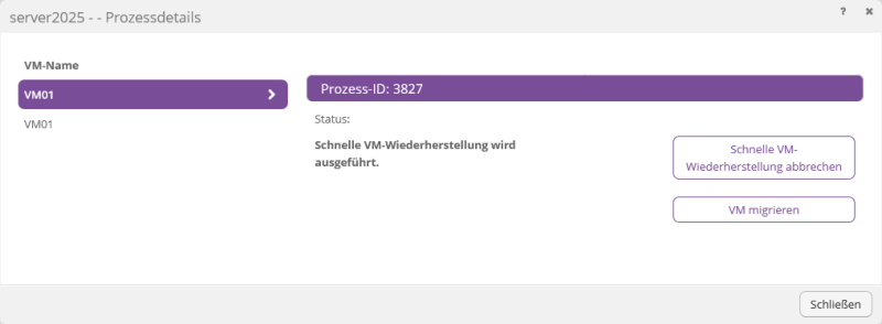 Datei:Backup-DE-Hyper-V Agent-VM wiederherstellen-Rapid (11).png