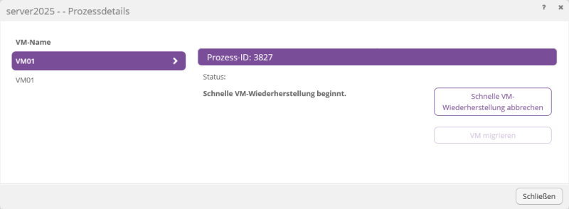 Datei:Backup-DE-Hyper-V Agent-VM wiederherstellen-Rapid (9).png