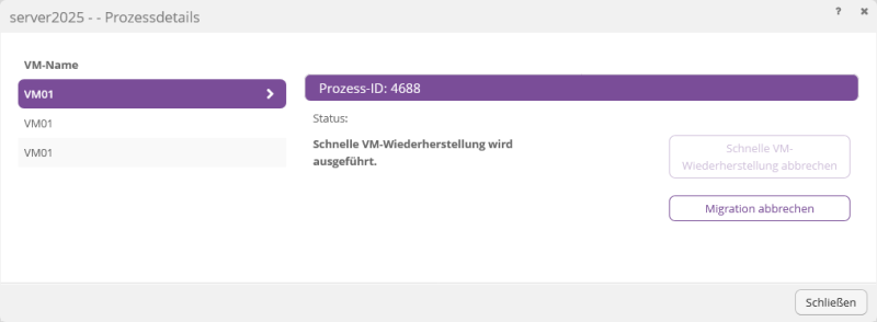 Datei:Backup-DE-Hyper-V Agent-VM wiederherstellen-Rapid (15).png