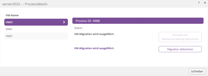 Datei:Backup-DE-Hyper-V Agent-VM wiederherstellen-Rapid (16).png